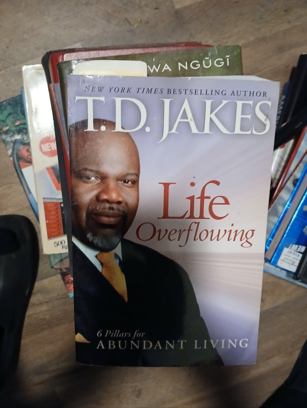 Td Jakes Book